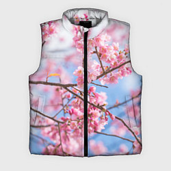 Мужской жилет Ветки Сакуры
