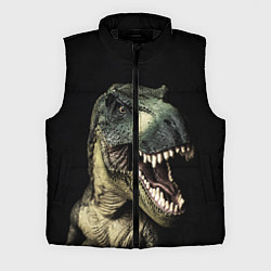 Мужской жилет Динозавр T-Rex, цвет: 3D-черный