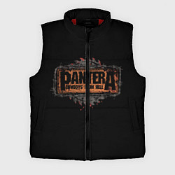 Мужской жилет PANTERA, цвет: 3D-красный