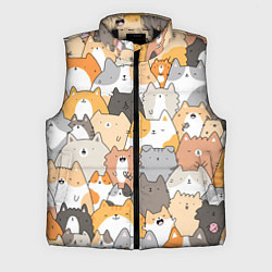 Мужской жилет Кошачья стая
