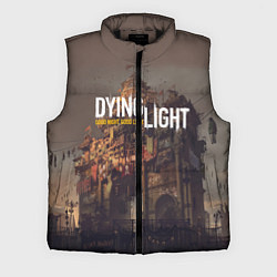 Мужской жилет DYING LIGHT спина Z, цвет: 3D-черный