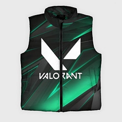 Мужской жилет VALORANT, цвет: 3D-черный