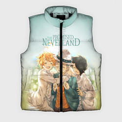 Мужской жилет The Promised Neverland, цвет: 3D-черный