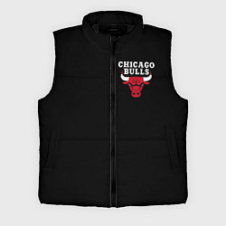 Мужской жилет CHICAGO BULLS, цвет: 3D-черный