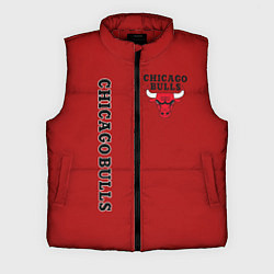 Мужской жилет CHICAGO BULLS