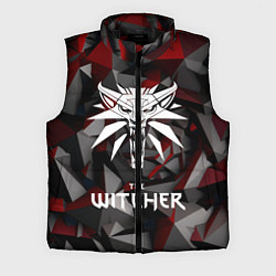 Мужской жилет The Witcher, цвет: 3D-черный