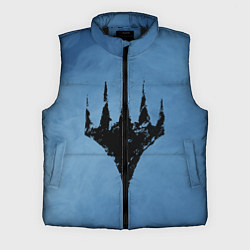 Мужской жилет Magic the gathering, цвет: 3D-черный