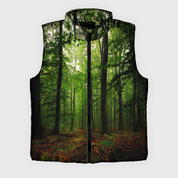 Мужской жилет Лес