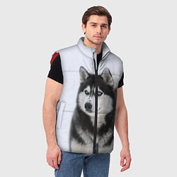 Мужской жилет ХАСКИ, цвет: 3D-красный — фото 2