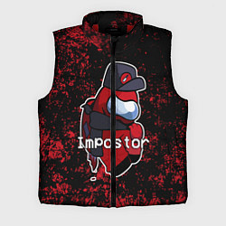 Мужской жилет AMONG US
