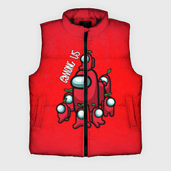 Мужской жилет AMONG US