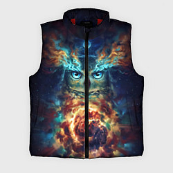 Мужской жилет Сова Космос, цвет: 3D-красный
