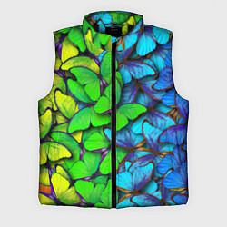 Мужской жилет Радужные бабочки