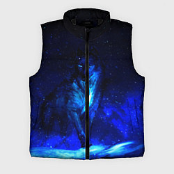 Мужской жилет Dark Wolf