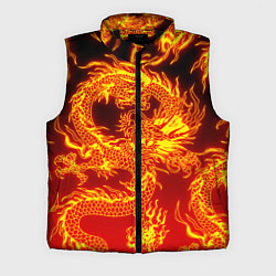 Мужской жилет ДРАКОН