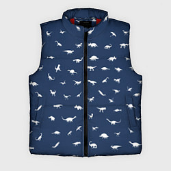 Мужской жилет Dinoworld 2