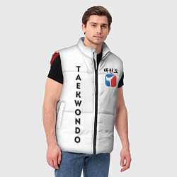 Мужской жилет Тхэквондо Taekwondo, цвет: 3D-красный — фото 2