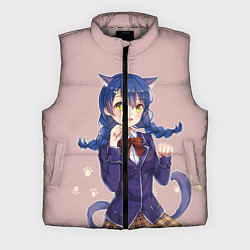 Мужской жилет Повар боец Сома, цвет: 3D-светло-серый