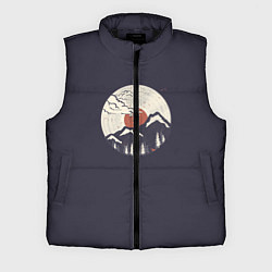 Мужской жилет Mountain Vinyl Record