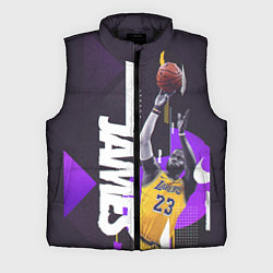 Мужской жилет Леброн