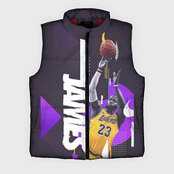 Мужской жилет Леброн