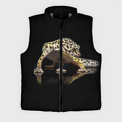 Мужской жилет ЭУБЛЕФАР EUBLEPHARIS, цвет: 3D-светло-серый