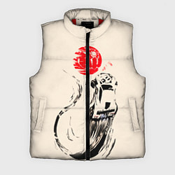 Мужской жилет Flying car, цвет: 3D-красный