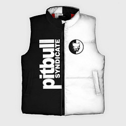Мужской жилет PITBULL SYNDICATE ПИТБУЛЬ