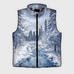 Мужской жилет СНЕЖНЫЙ ПЕЙЗАЖ, цвет: 3D-красный