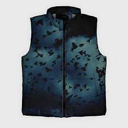 Мужской жилет Flock of birds