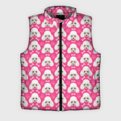 Мужской жилет Собака Пудель