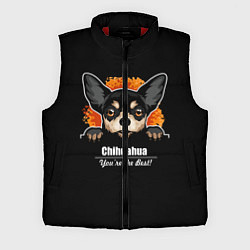 Мужской жилет Чихуахуа Chihuahua, цвет: 3D-красный