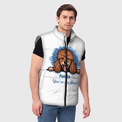 Мужской жилет Собака Пудель Poodle, цвет: 3D-светло-серый — фото 2