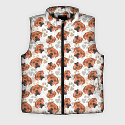 Мужской жилет Собака Родезийский Риджбек