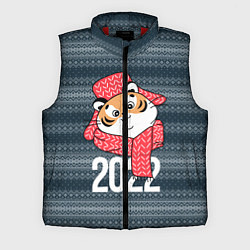 Мужской жилет 2022 символ года, цвет: 3D-красный