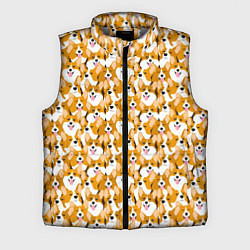 Мужской жилет Собаки Корги