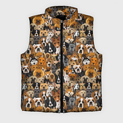 Мужской жилет Собаки Разные Породы, цвет: 3D-светло-серый