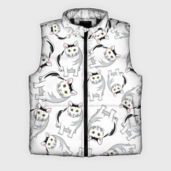 Мужской жилет КОТИКИ МЕМ МЯУ
