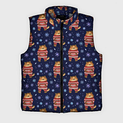 Мужской жилет Тигры в свитере, цвет: 3D-светло-серый