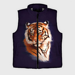 Мужской жилет Грозный Тигр Символ 2022 Года Tiger Beast, цвет: 3D-светло-серый