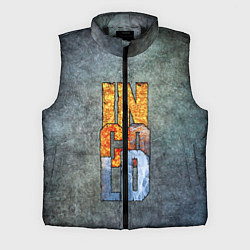 Мужской жилет IN COLD logo on a gray background
