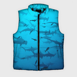 Мужской жилет Акулы - океан