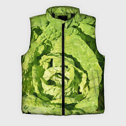 Мужской жилет Свежая капуста, цвет: 3D-черный