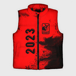 Мужской жилет 2023 Кролик в рамочке: надпись, символ, цвет: 3D-черный