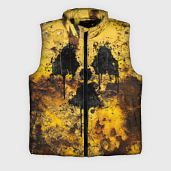 Мужской жилет Rusty radiation, цвет: 3D-черный