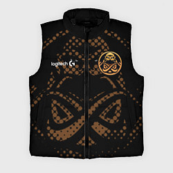 Мужской жилет Форма ENCE