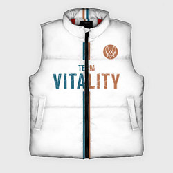 Мужской жилет Форма Team Vitality white