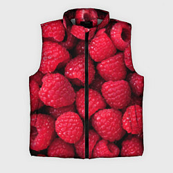 Мужской жилет Малина - паттерн