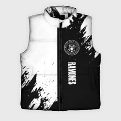 Мужской жилет Ramones краски абстракция