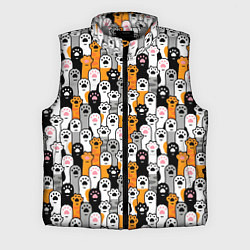 Мужской жилет Кошачьи лапы